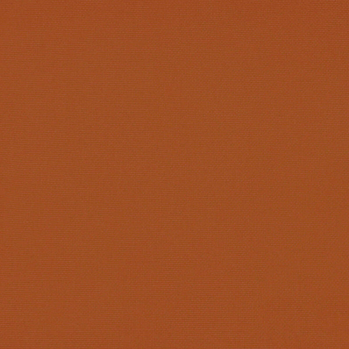 Palma-Naranja