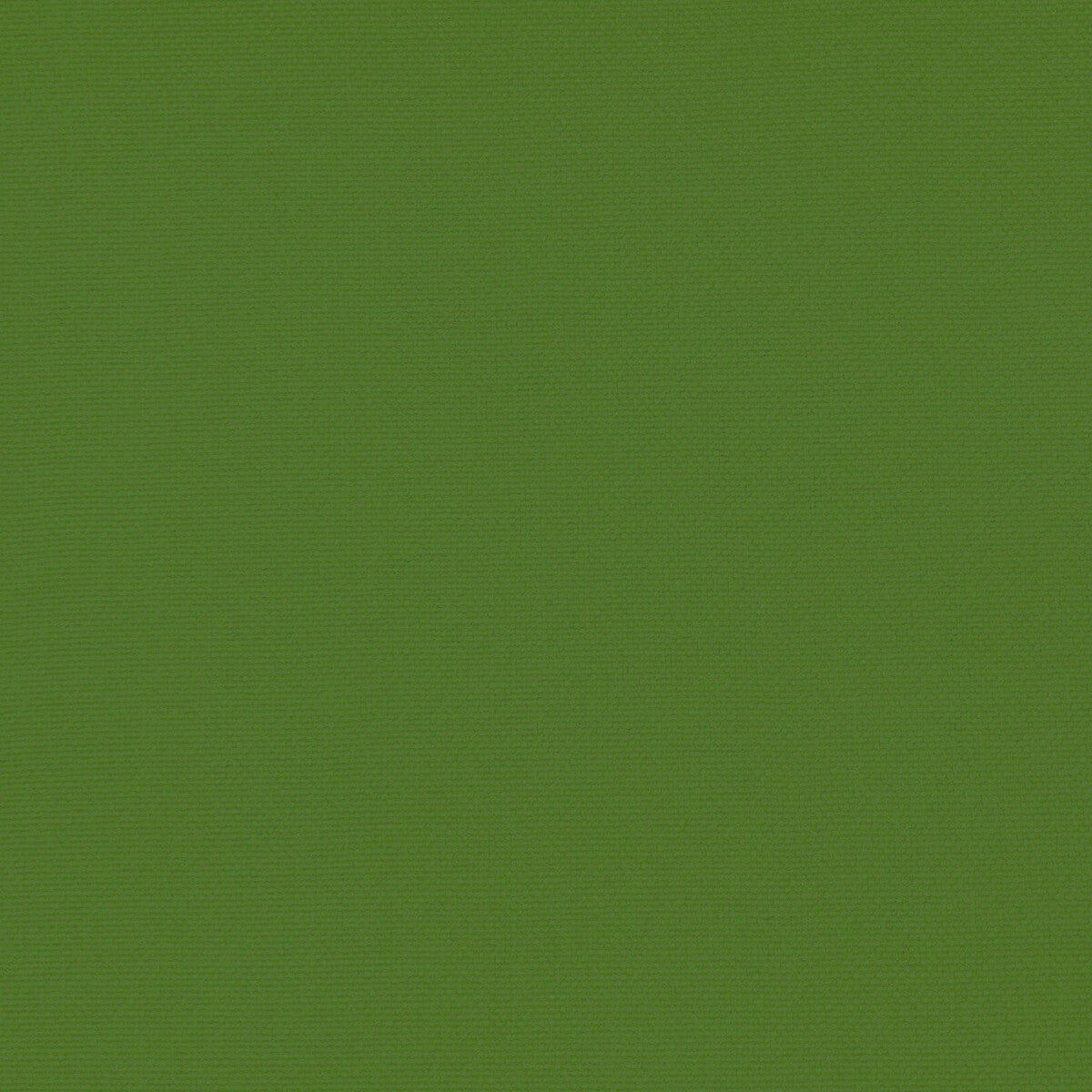 Palma-Verde Menta