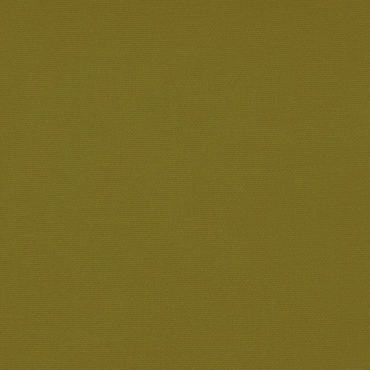Palma-Lima
