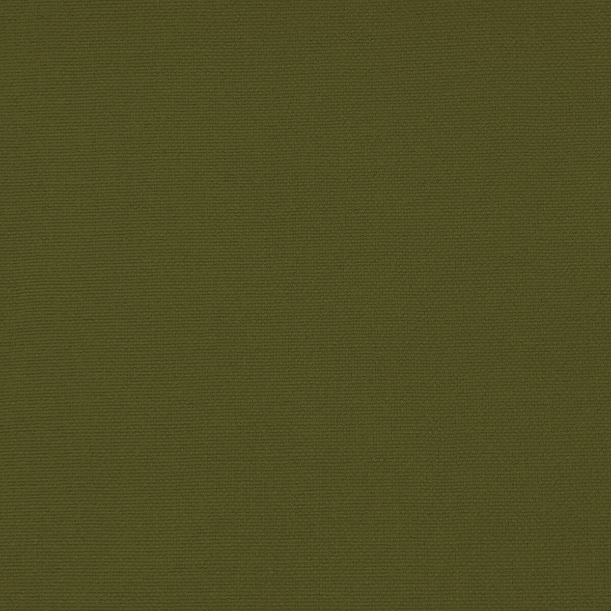 Palma-Verde
