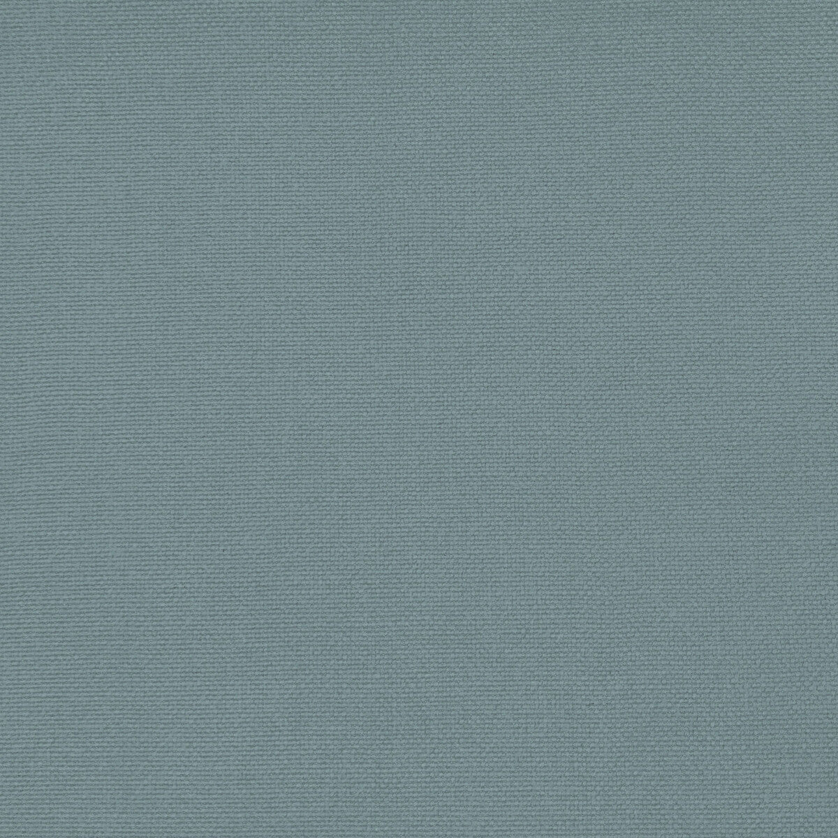 Palma-Cielo