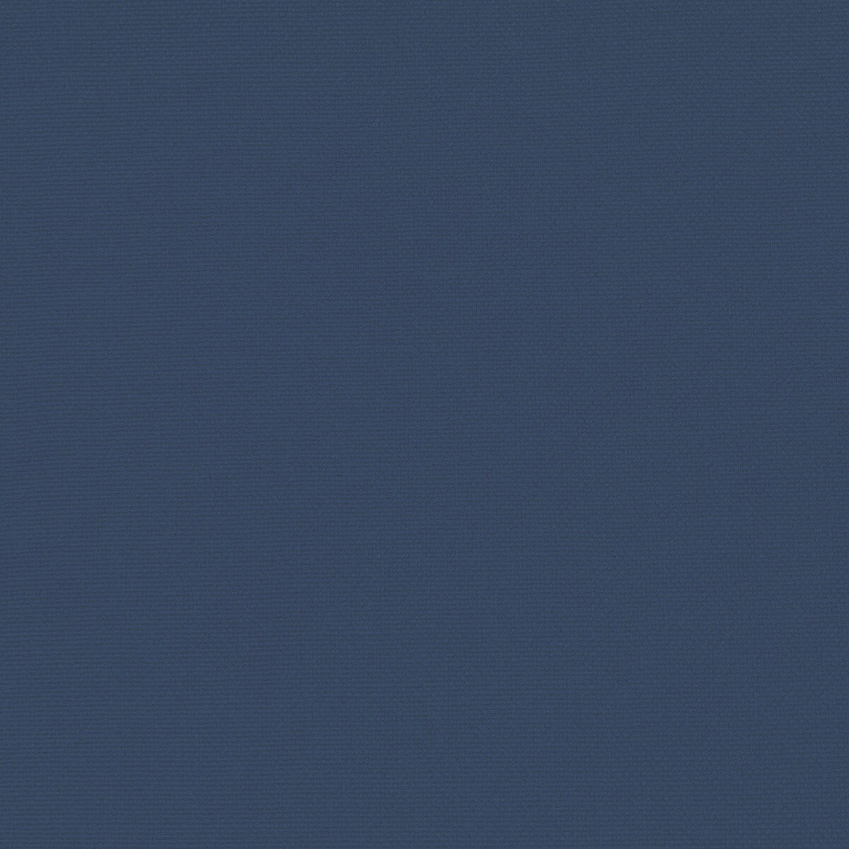 Palma-Azul Royal