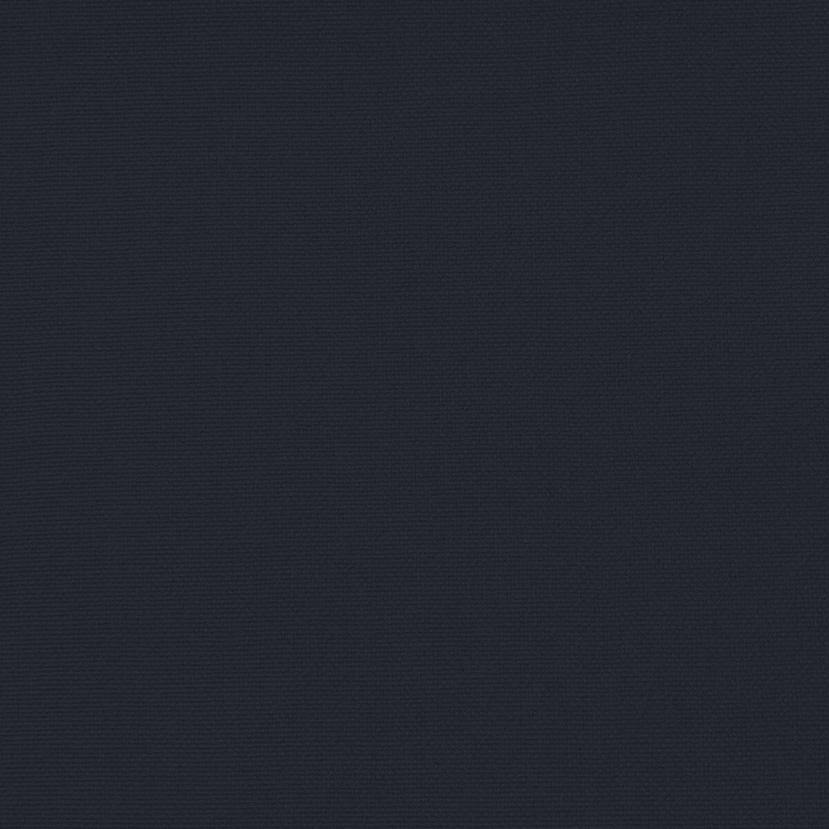Palma-Navy