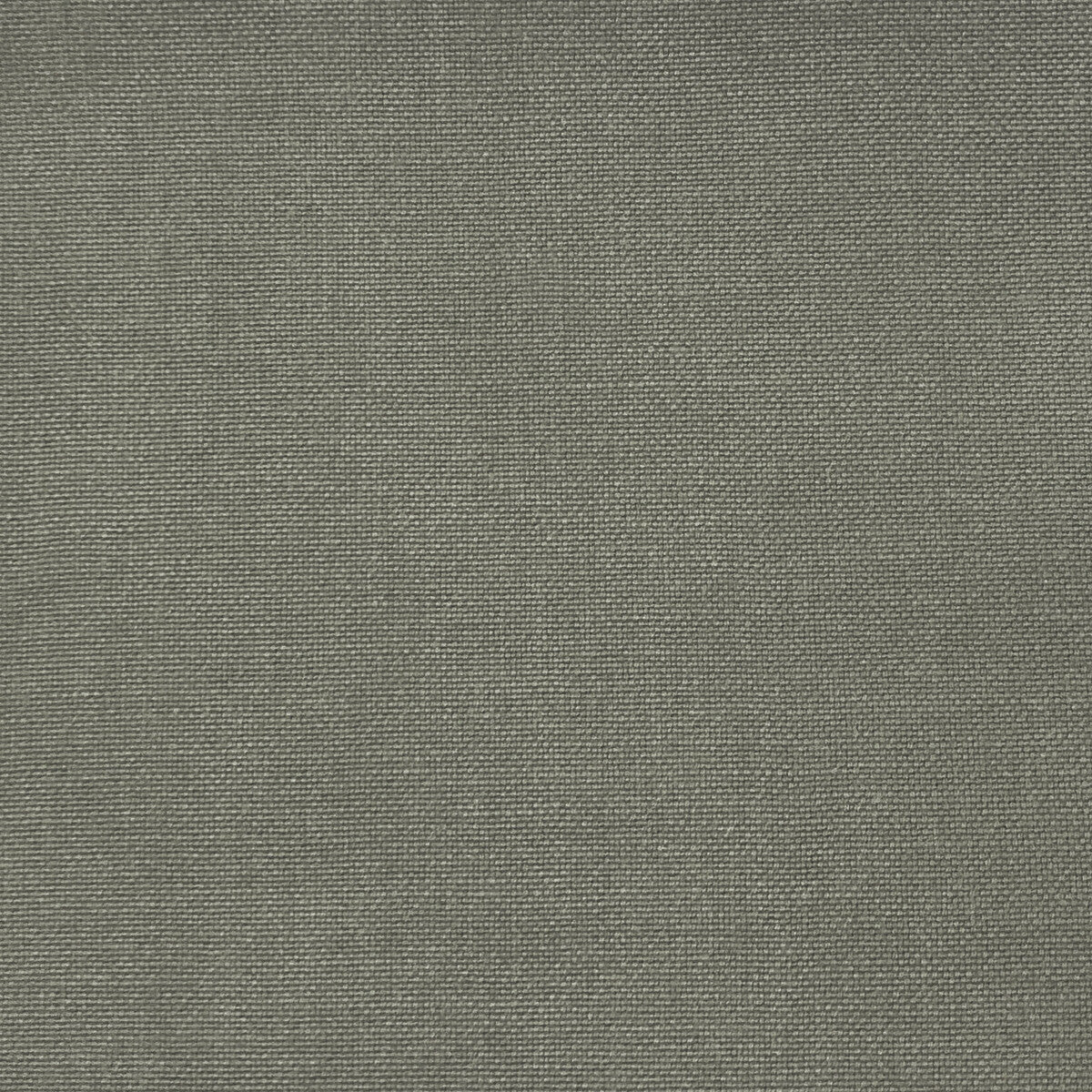 Palma-Gris