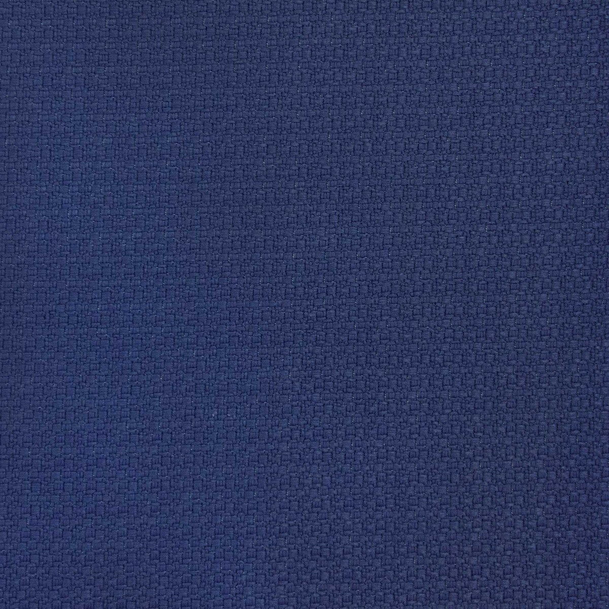 Lhasa-Navy