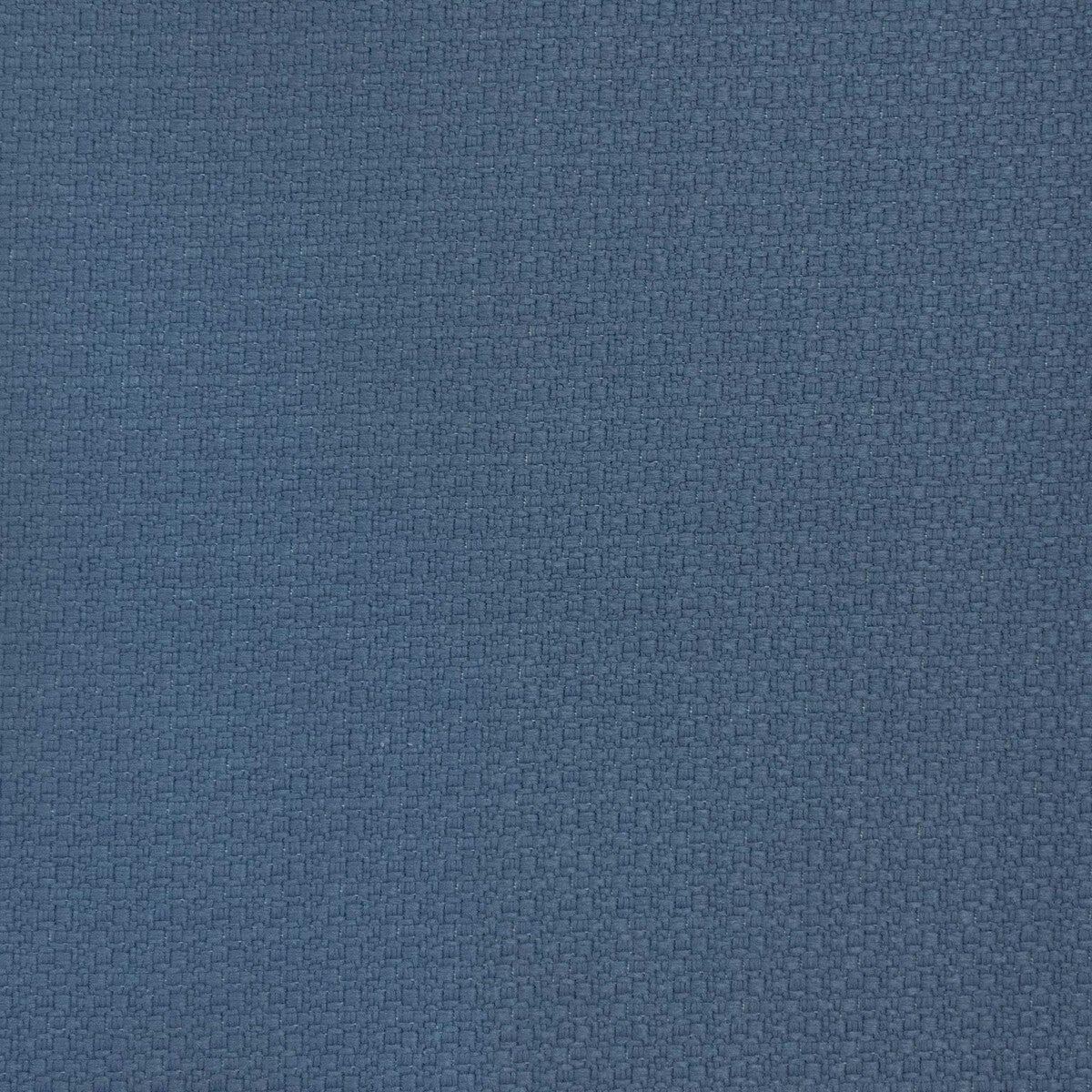 Lhasa-Azul Plomo