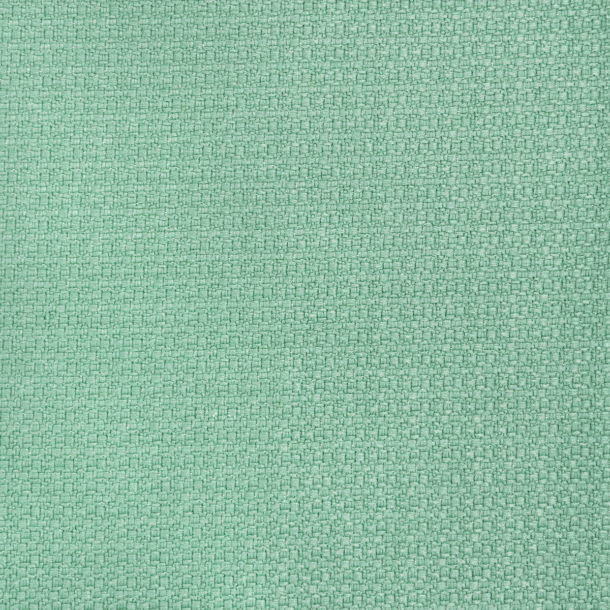 Lhasa-Verde Liquen
