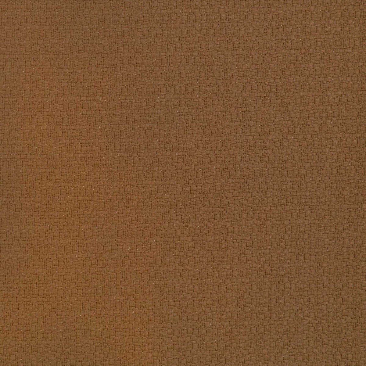 Lhasa-Tabaco