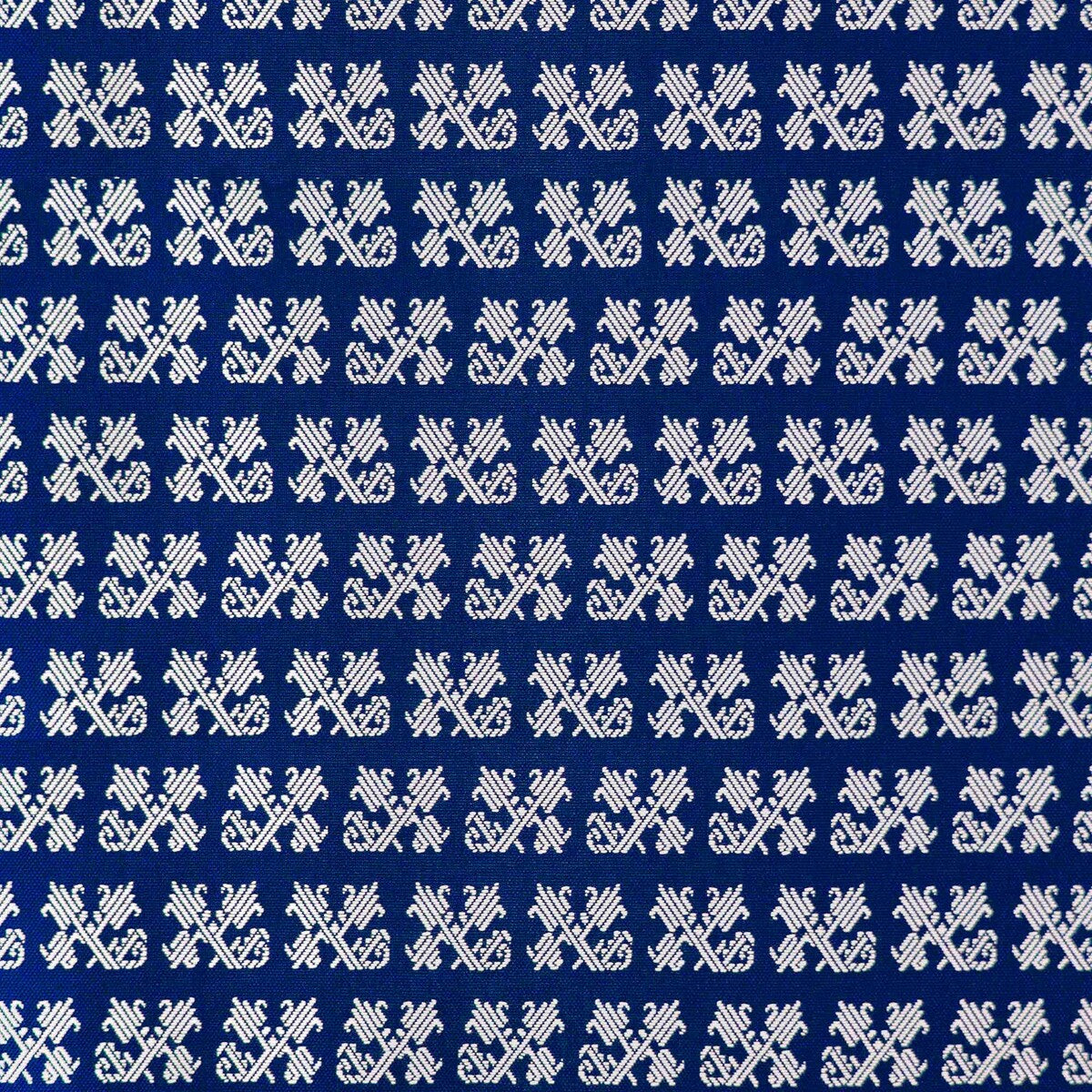 Tulip-Navy