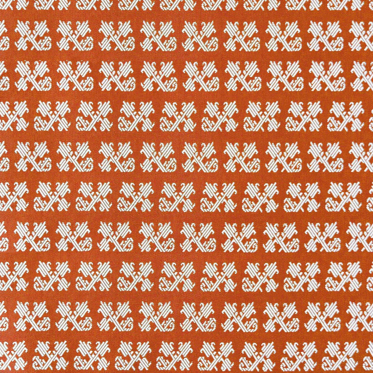 Tulip-Naranja