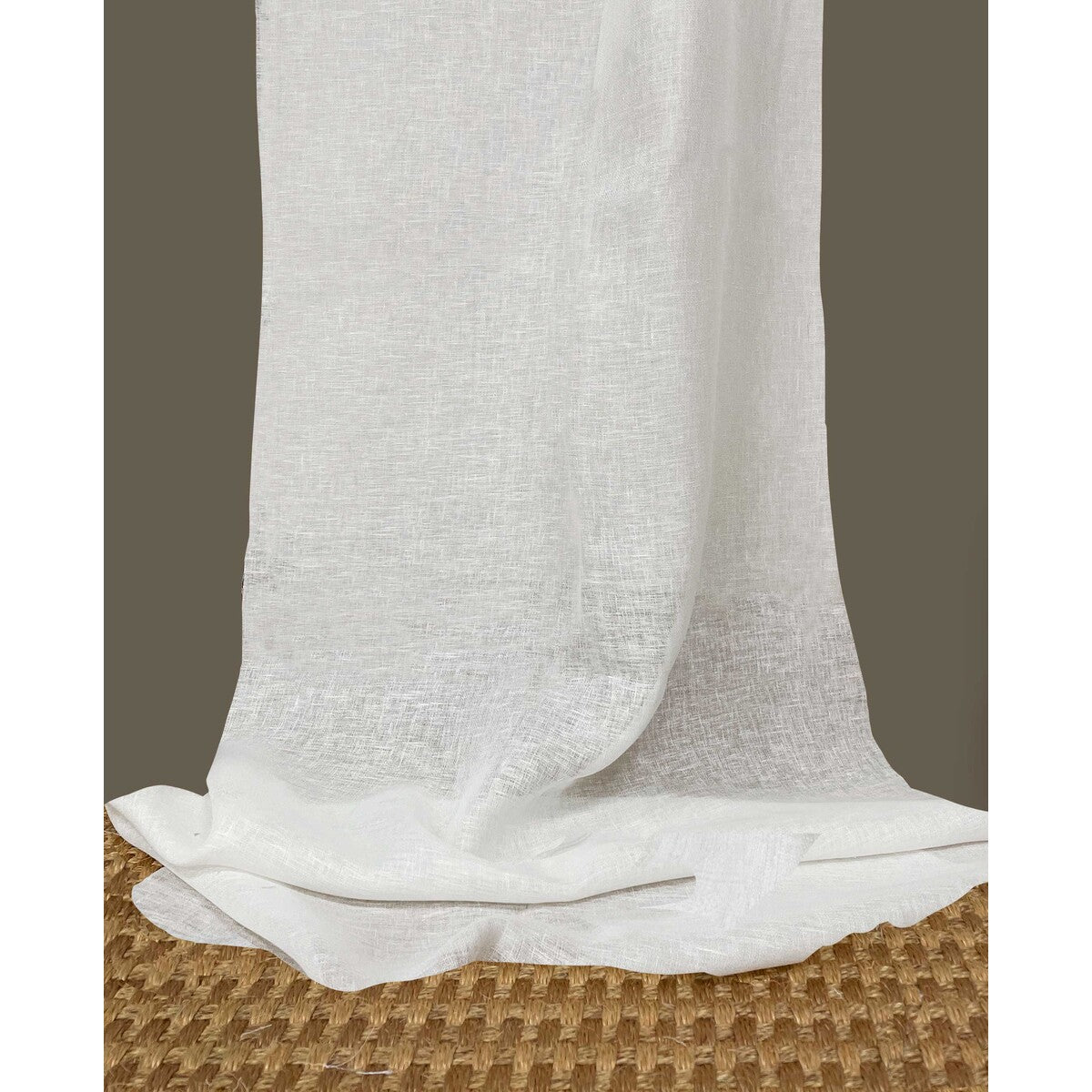Abelia-Blanco