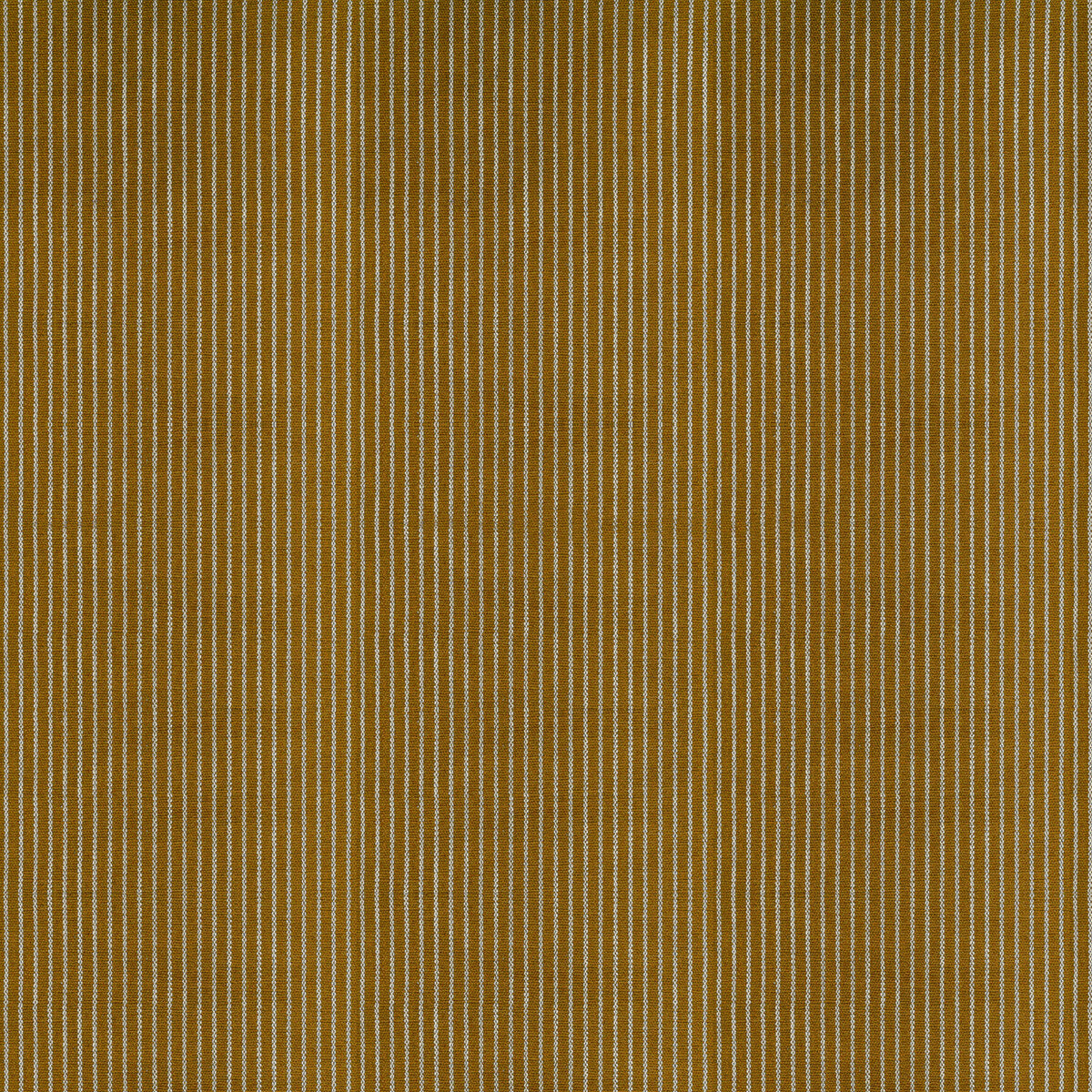 Egeo-Mandarina