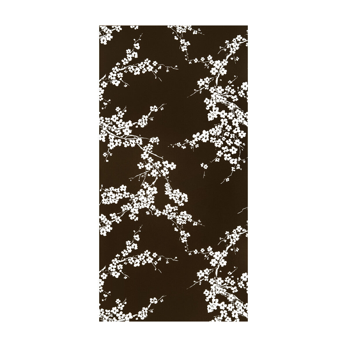 Primavera-Chocolate
