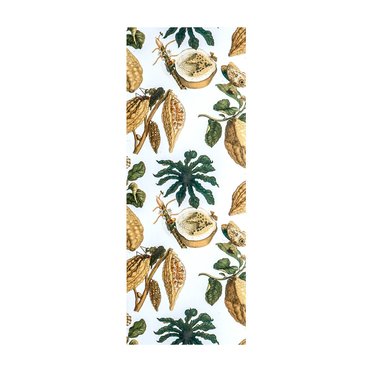Amazonia-Original
