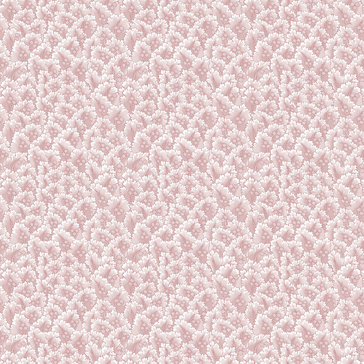 Secret Garden-Rosa