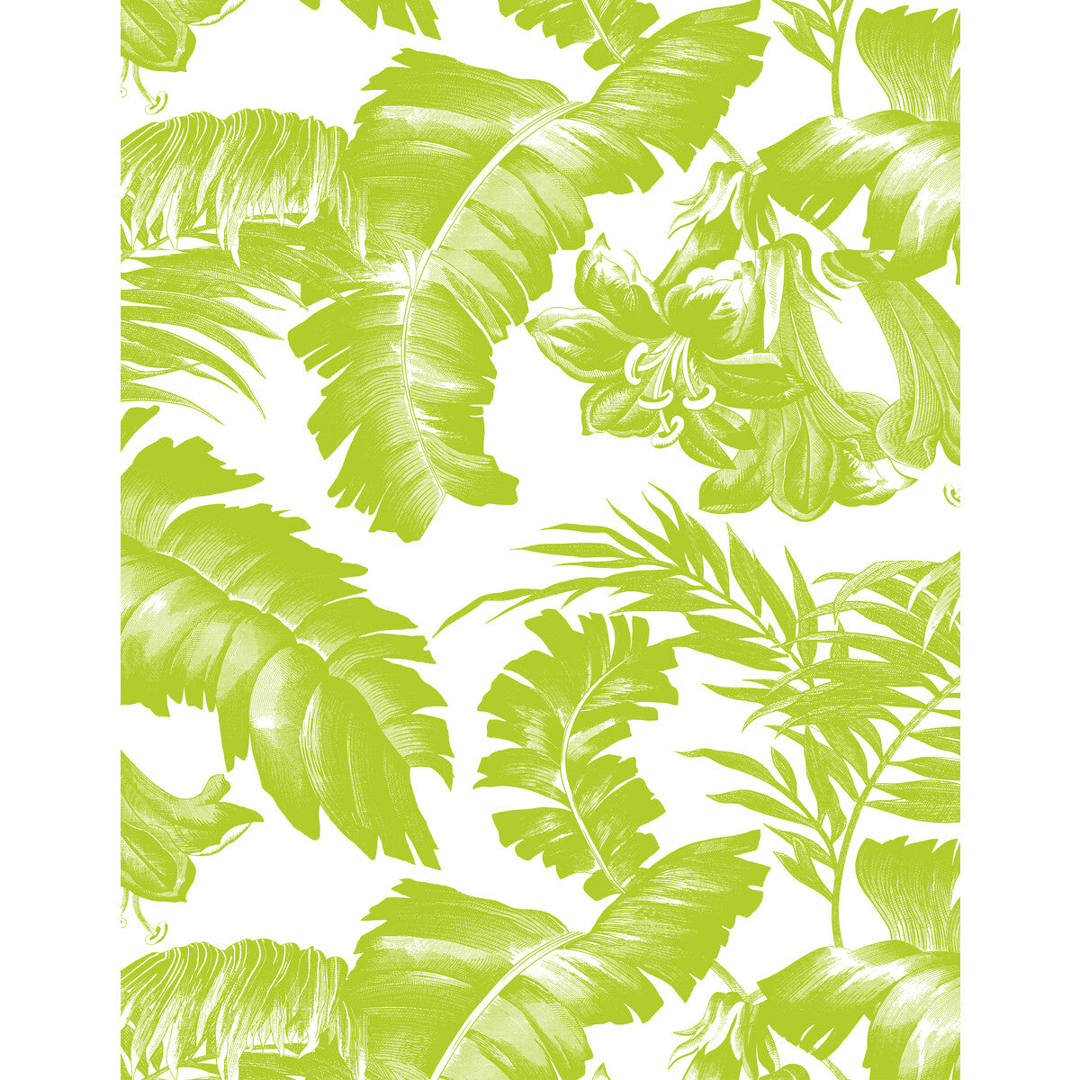 Plantation-Verde