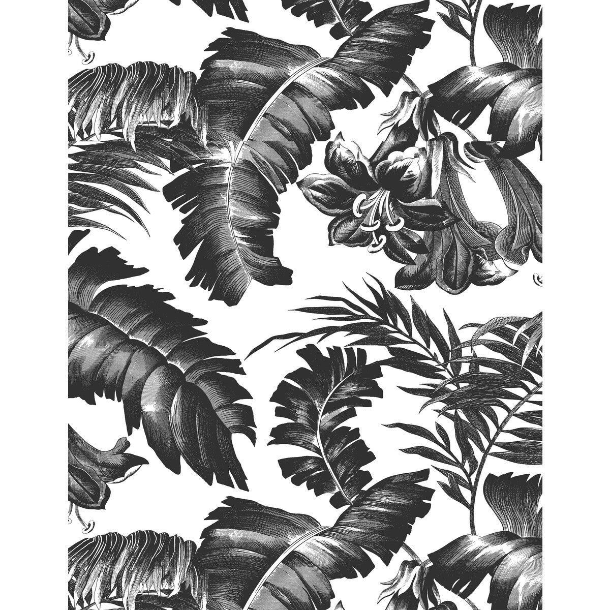 Plantation-Black&amp;White