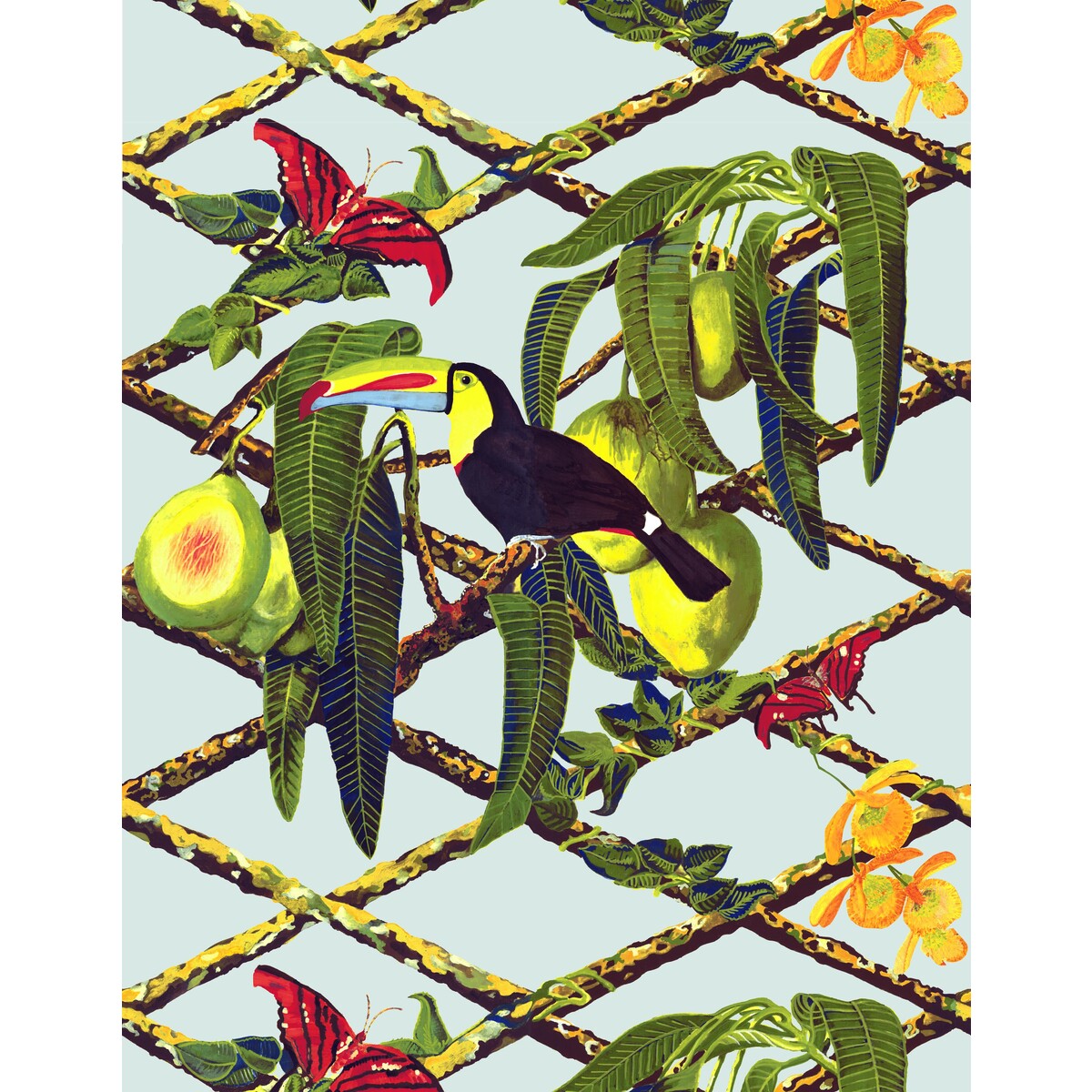 Tucan-Original