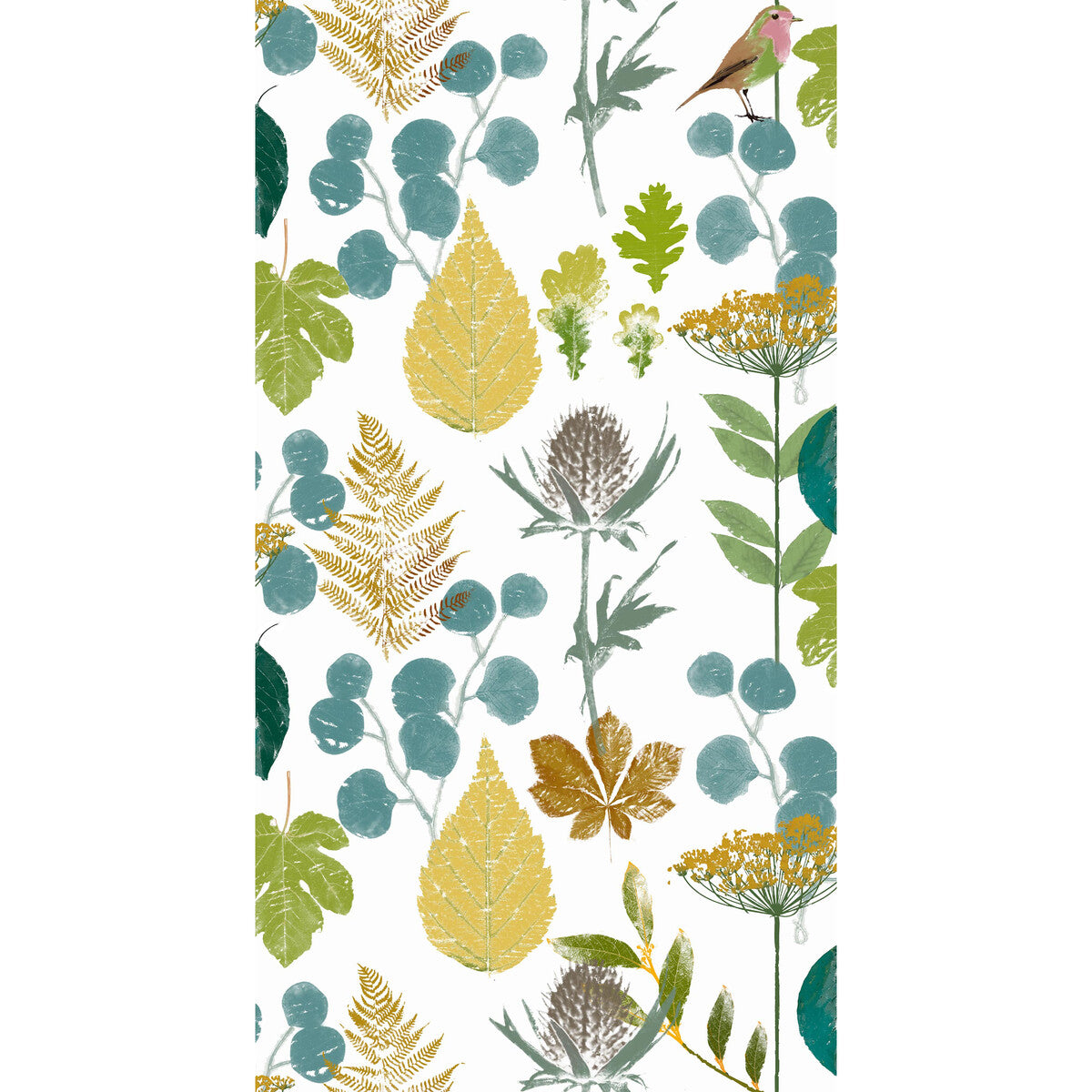 Herbarium-001