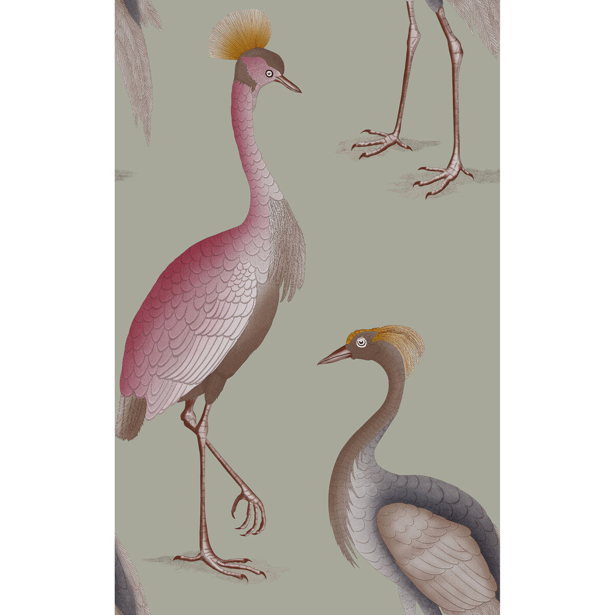 Garzas-Gris