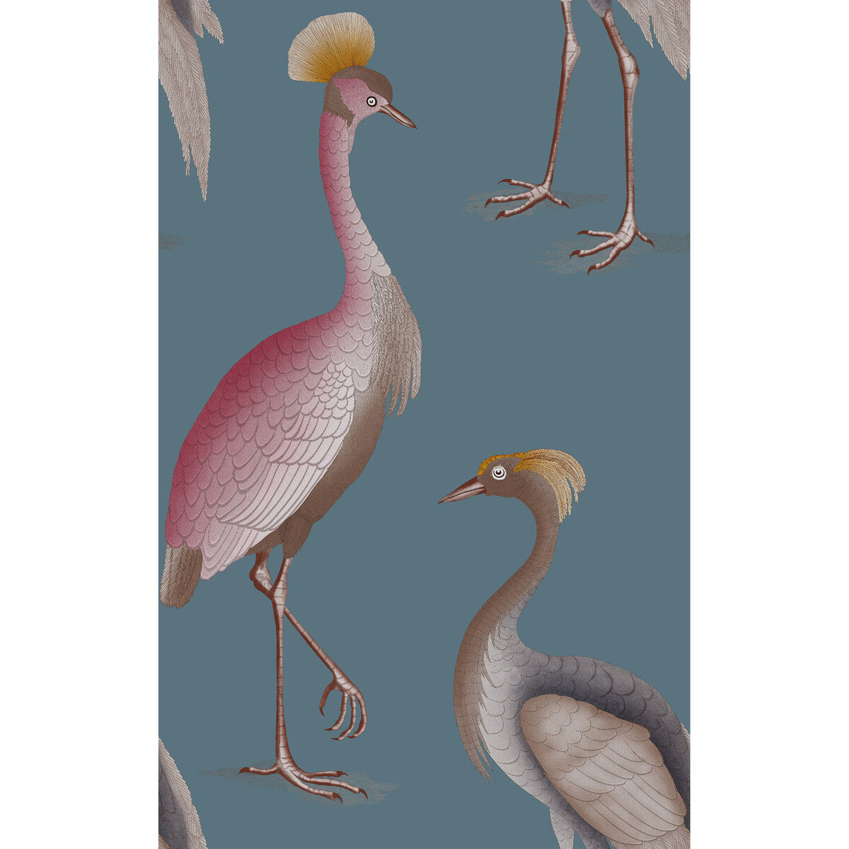 Garzas-Azul Oscuro