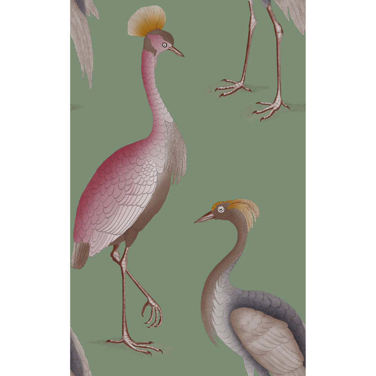 Garzas-Verde Agua