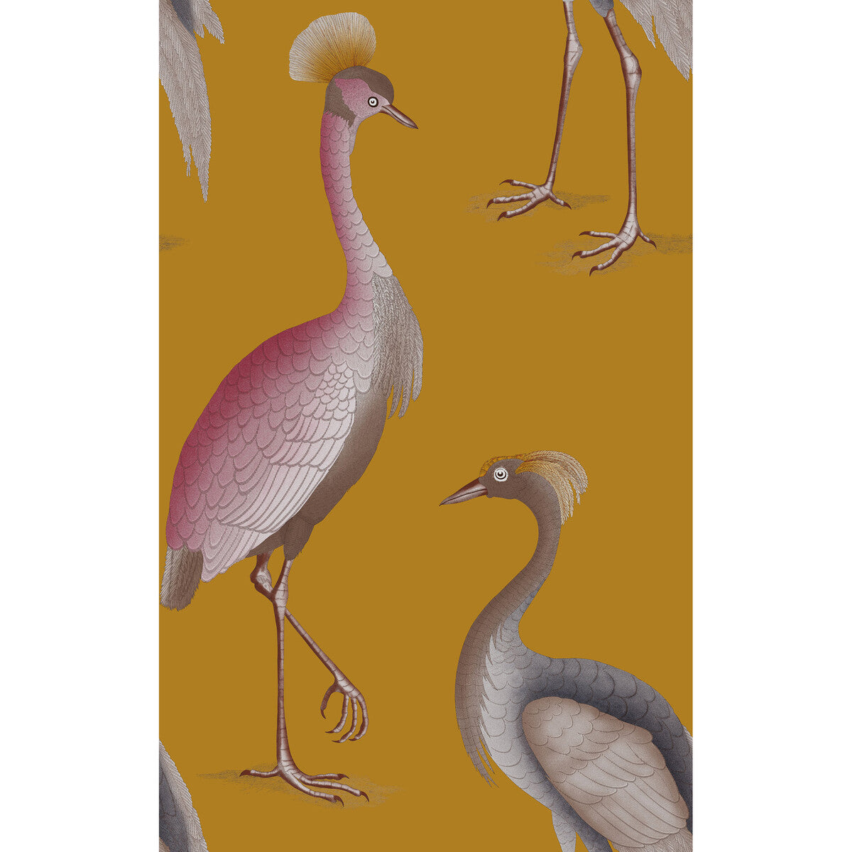 Garzas-Ocre