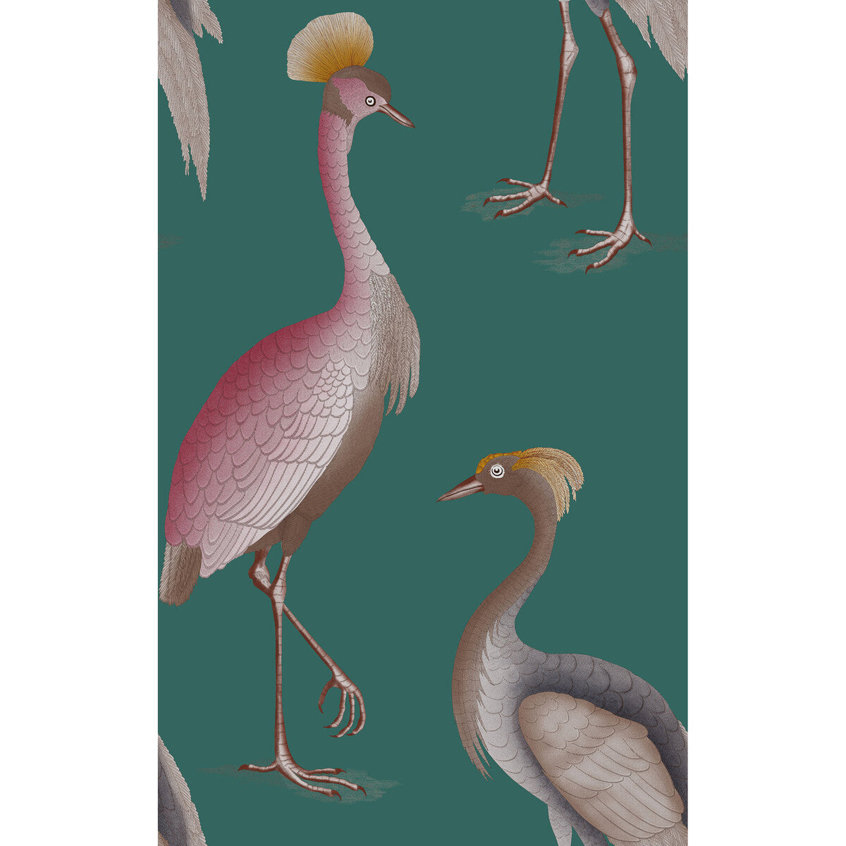 Garzas-Oceano
