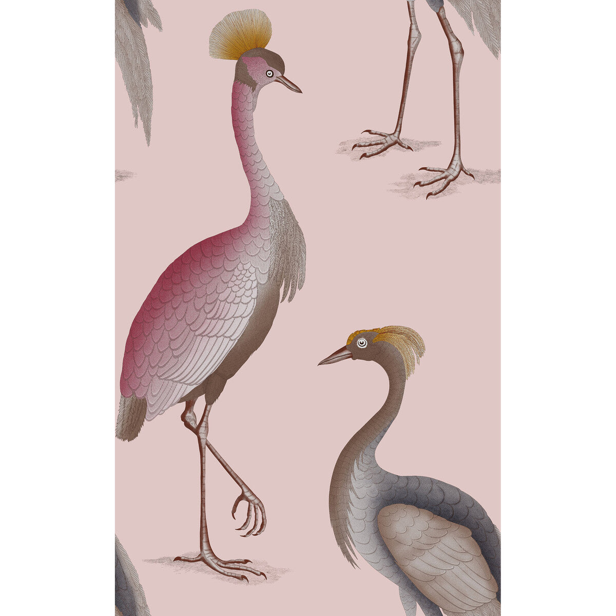 Garzas-Rosa