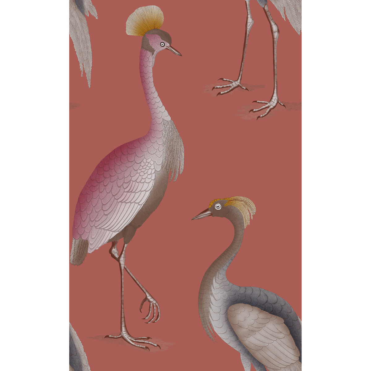 Garzas-Frambuesa