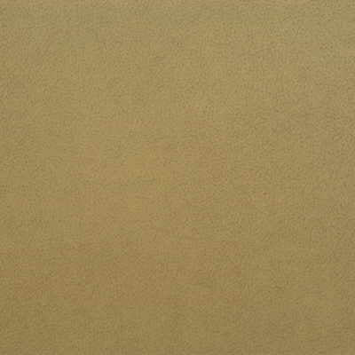 Kravet Design-Genslar-116