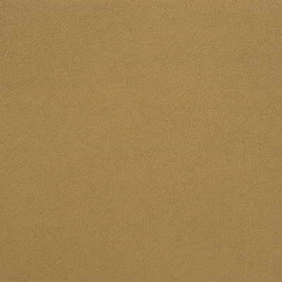 Kravet Design-Genslar-16
