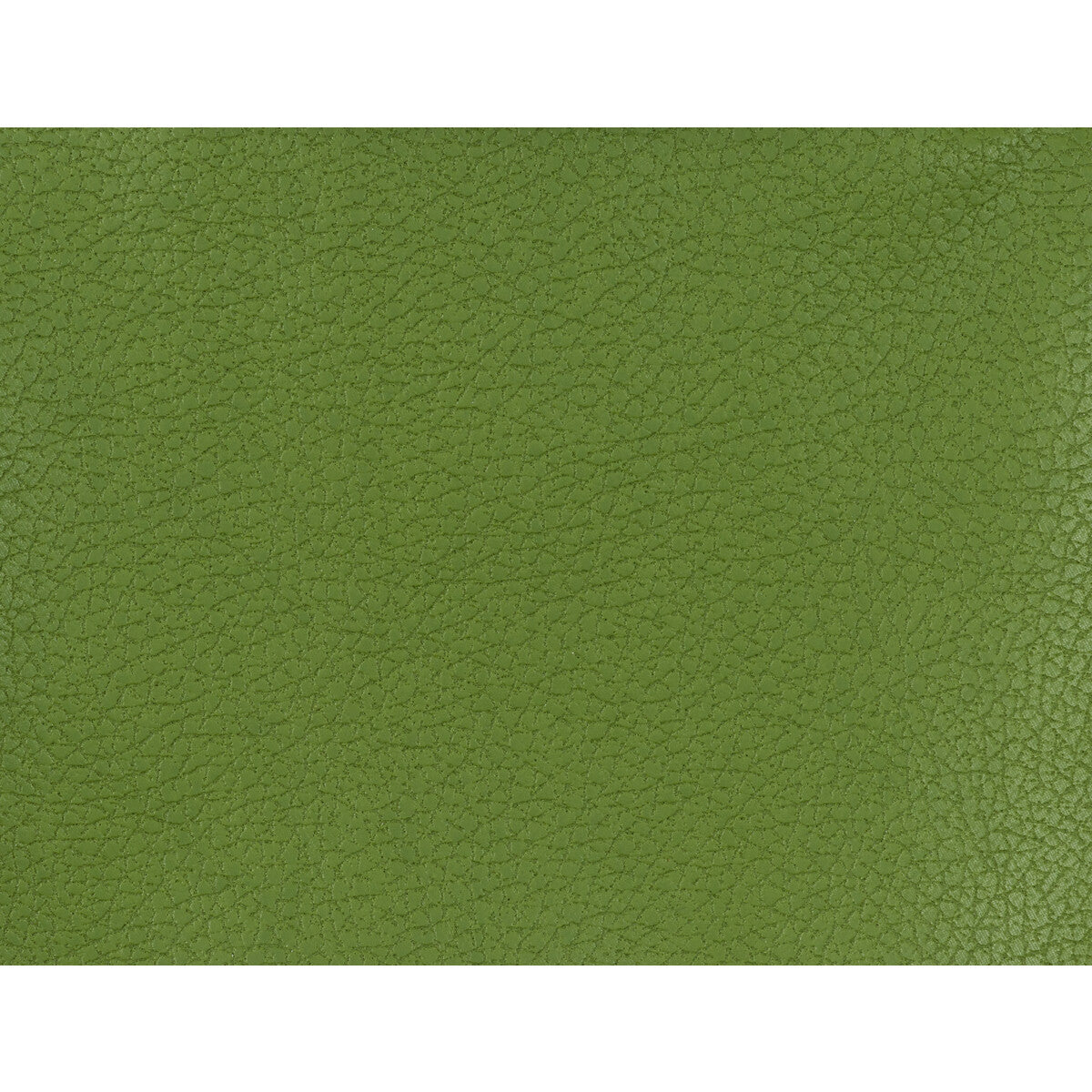 Kravet Design-Genslar-333