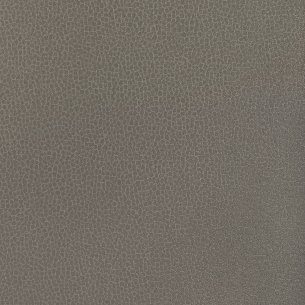Kravet Design-Gillian-121