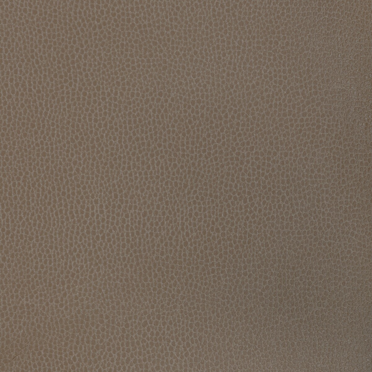Kravet Design-Gillian-1611