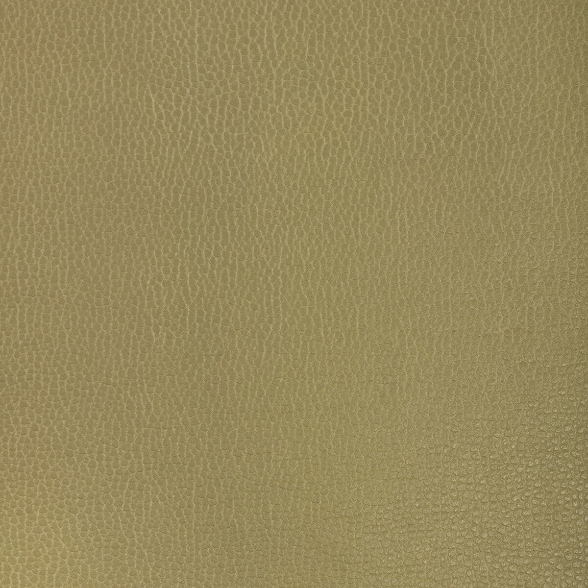 Kravet Design-Gillian-23