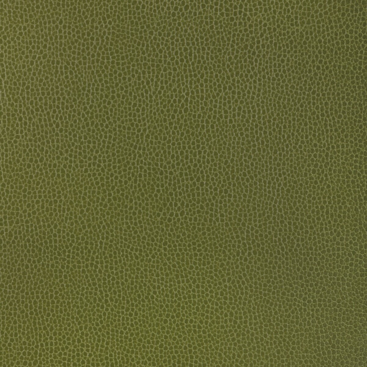 Kravet Design-Gillian-33