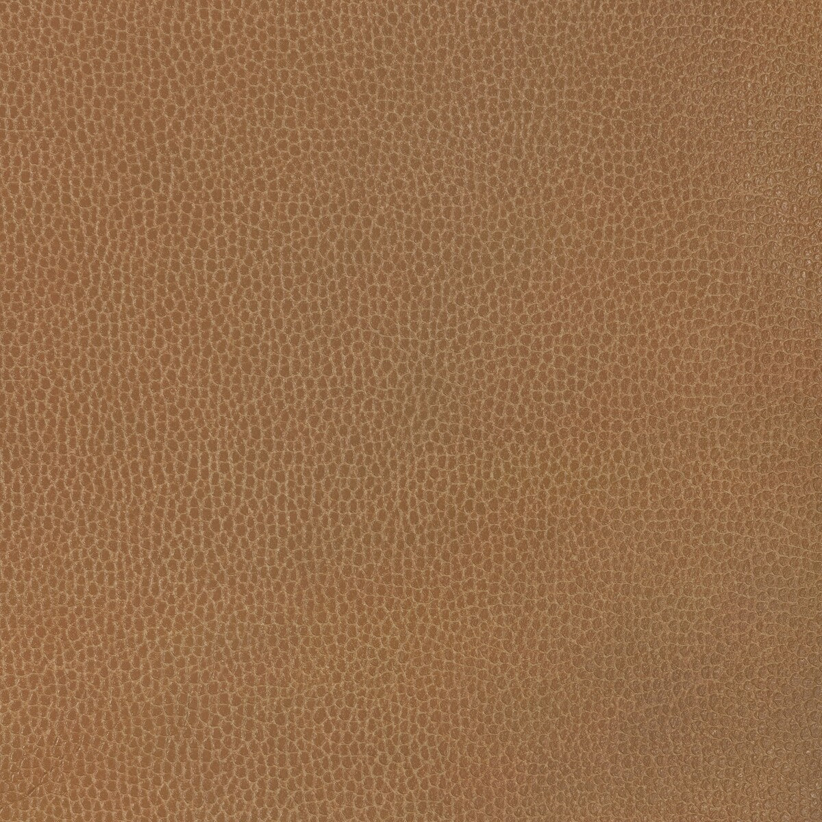 Kravet Design-Gillian-6116