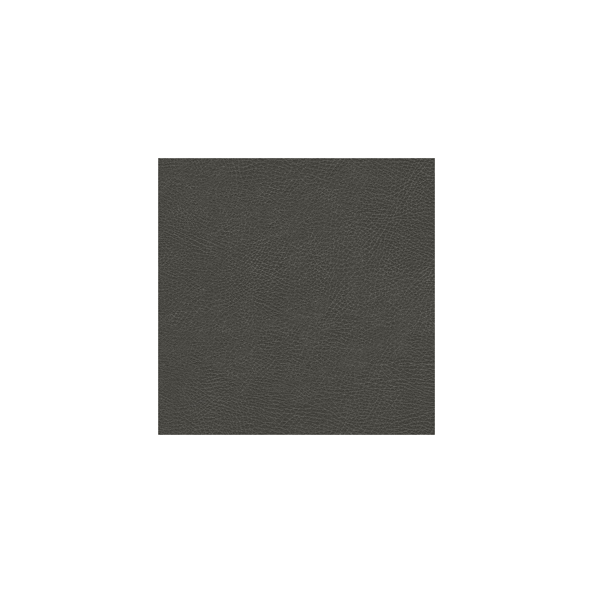 Kravet Design-Glendale-11