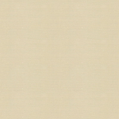 Canopy Solid-Vellum