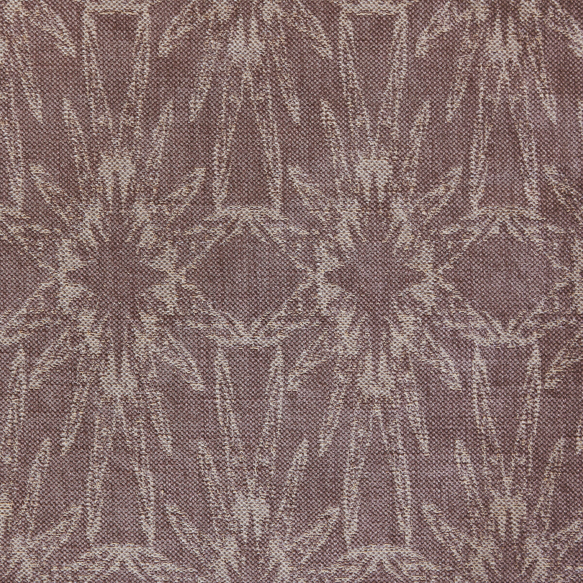 Starfish-Mauve