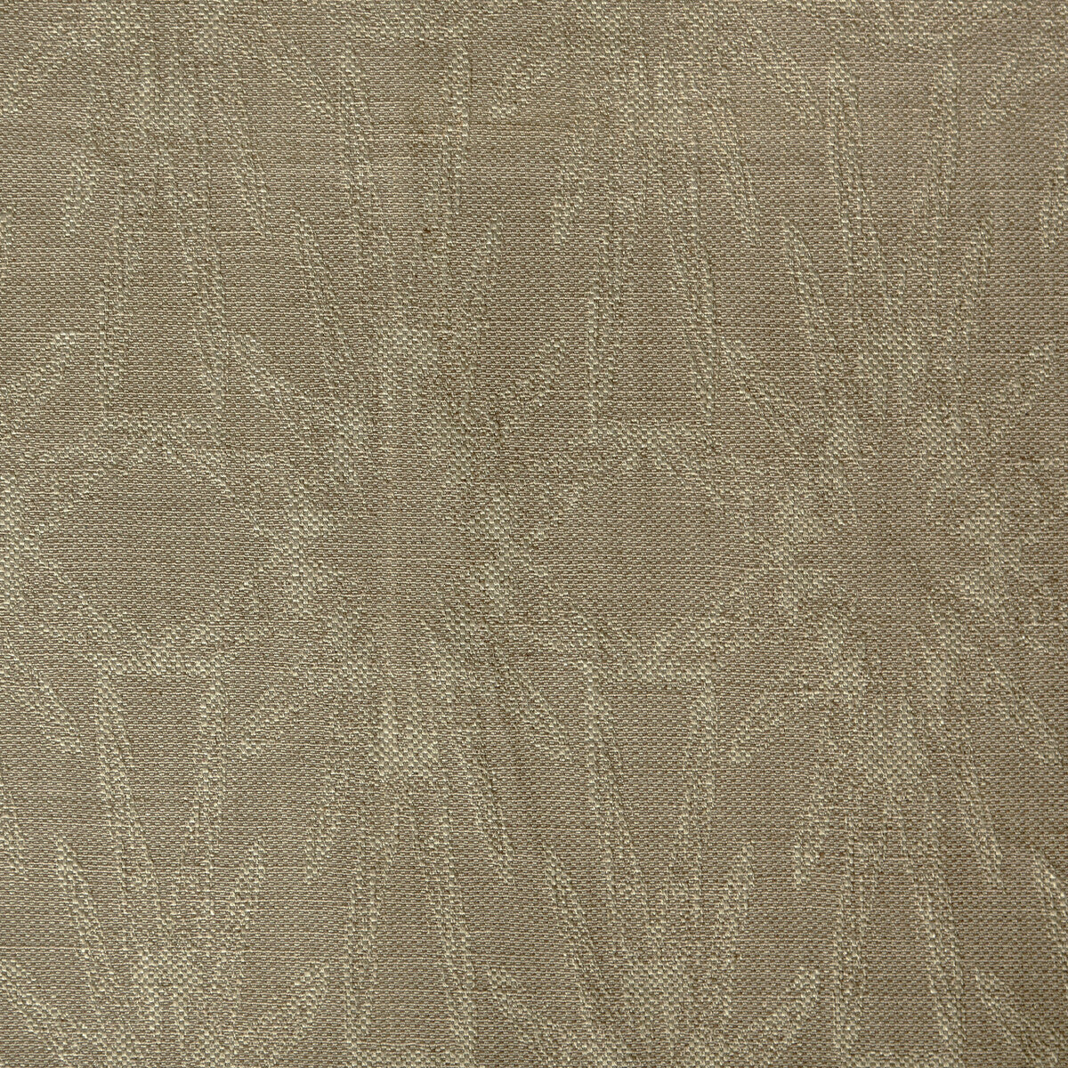 Starfish-Natural