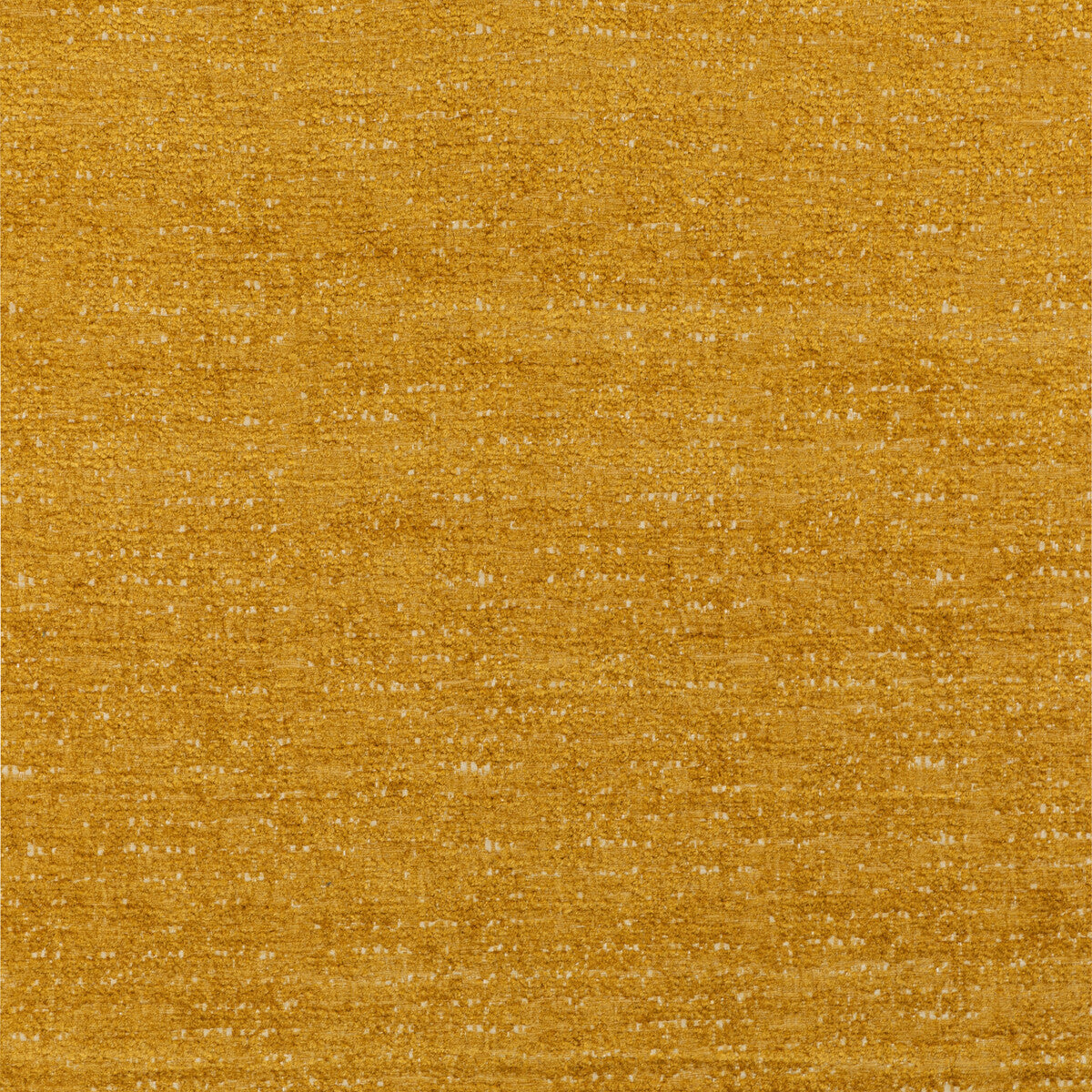Plume-Coin