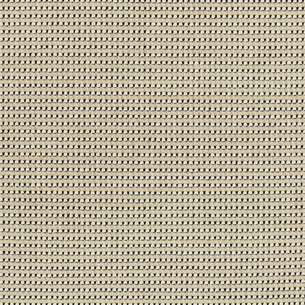 Risus-Doe