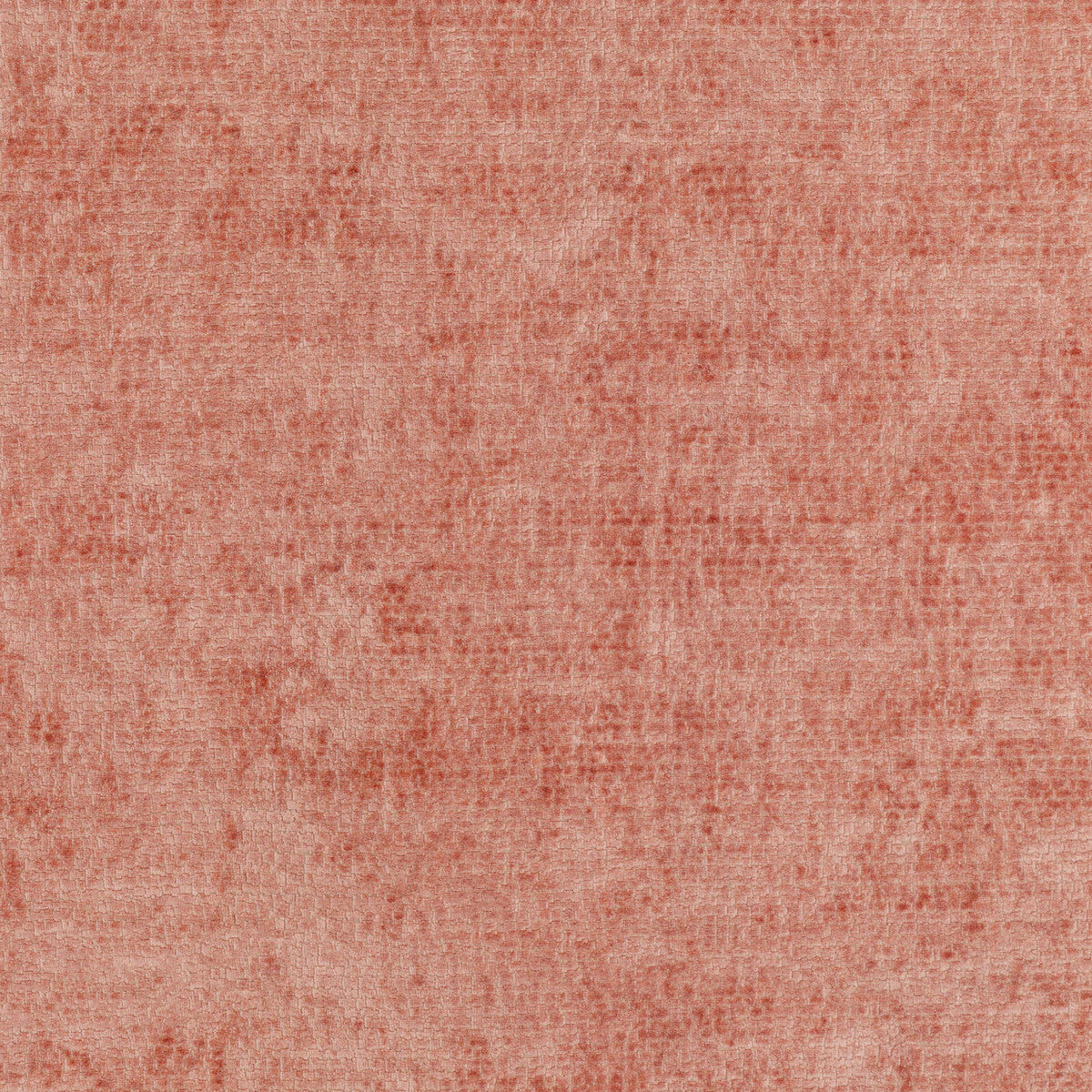 Rebus-Sorbet