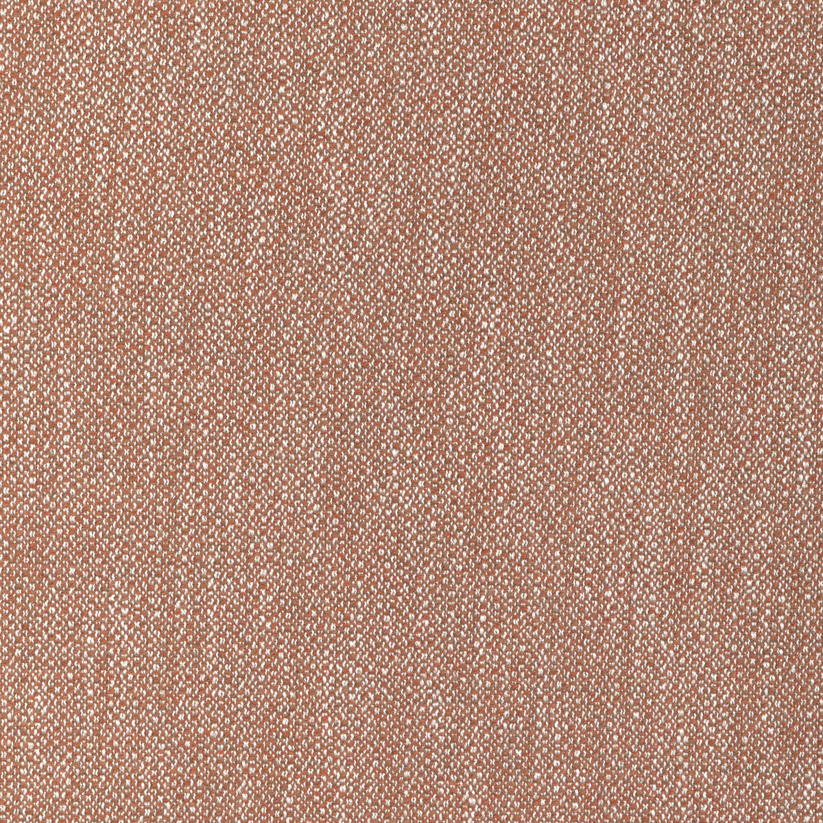 Torus-Terracotta