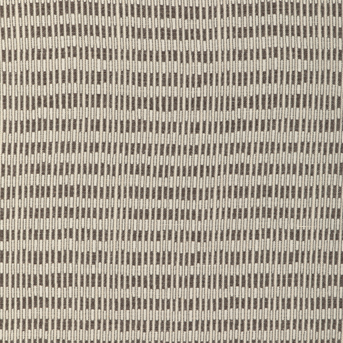 Baja-Shadow