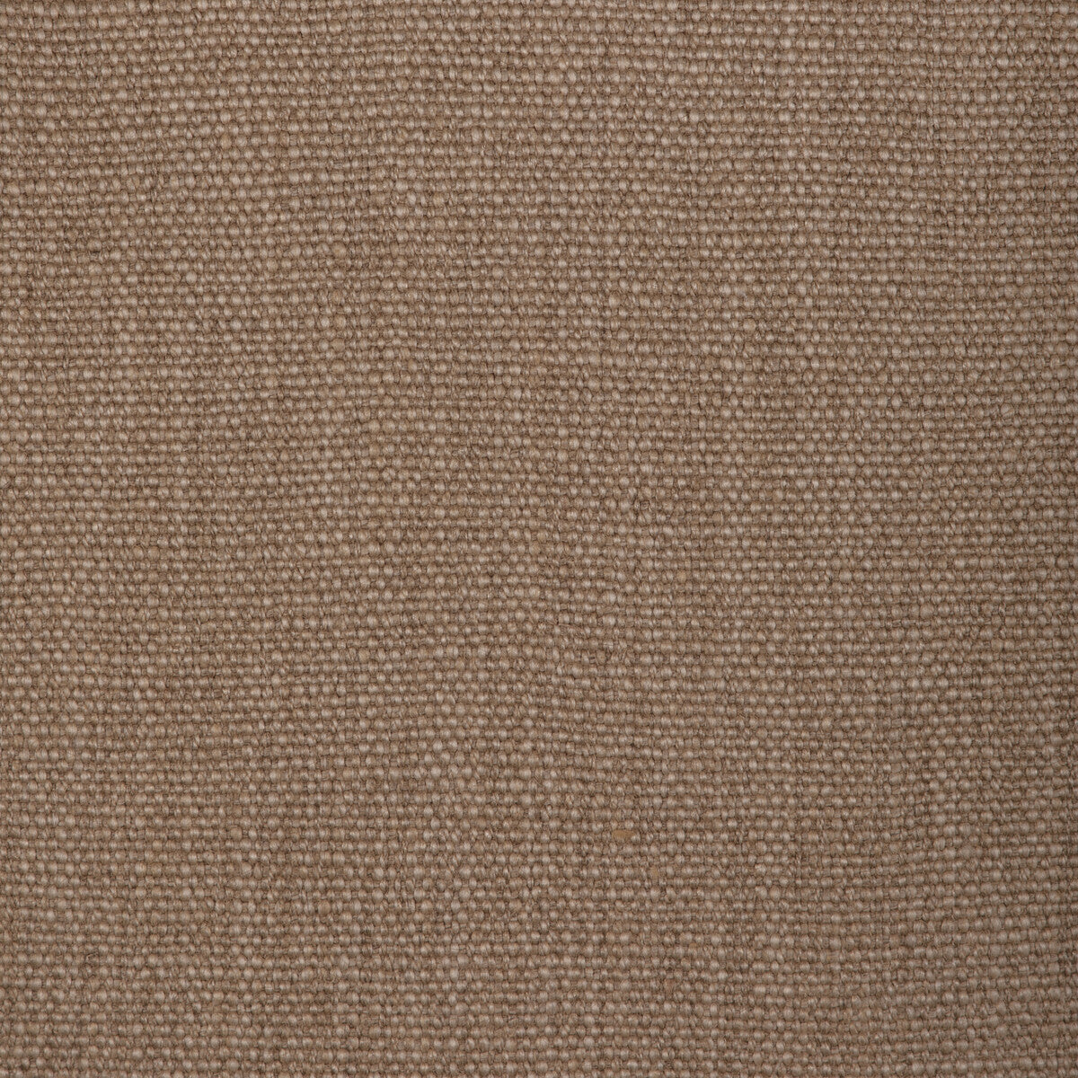 Prairie Texture-Stone