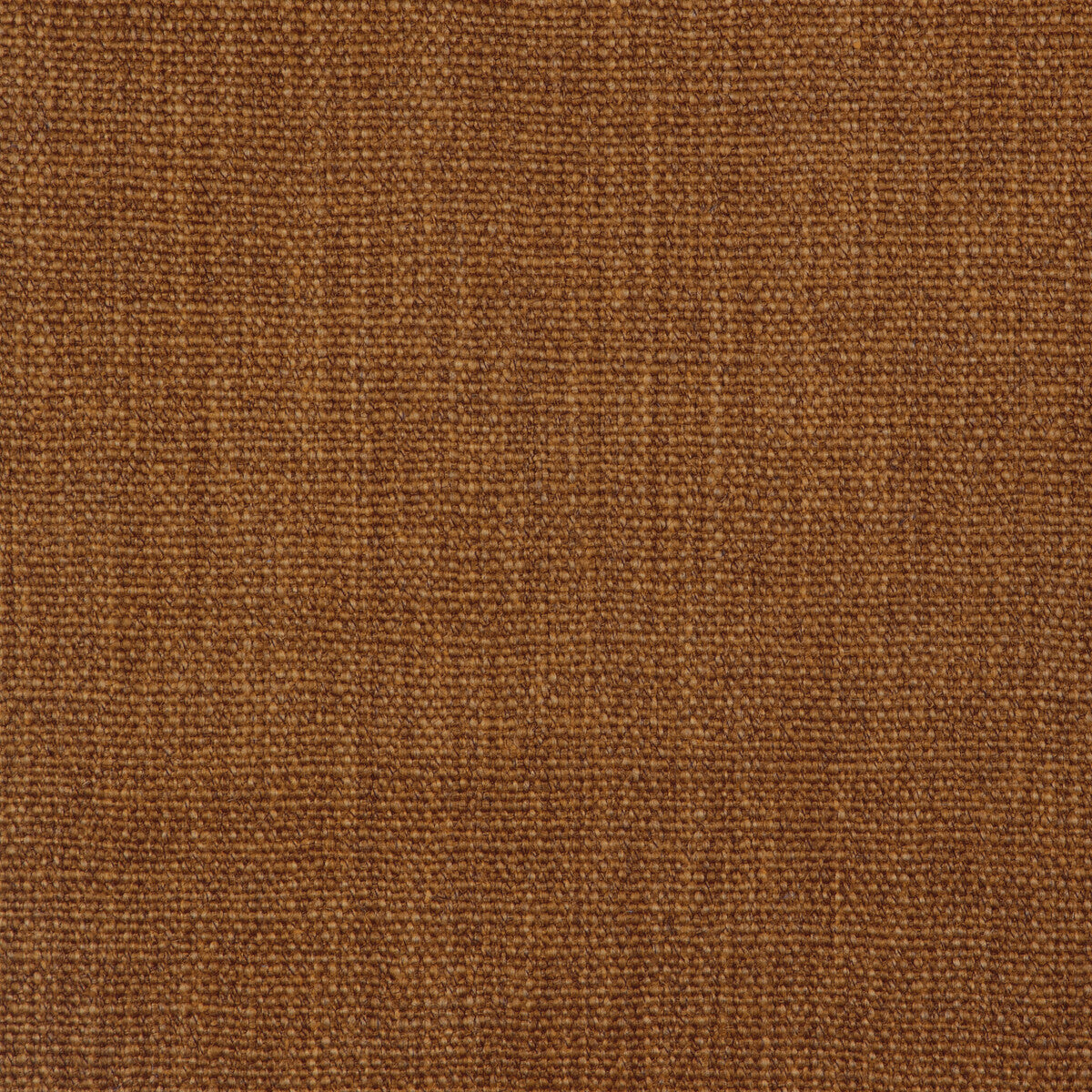Prairie Texture-Bark