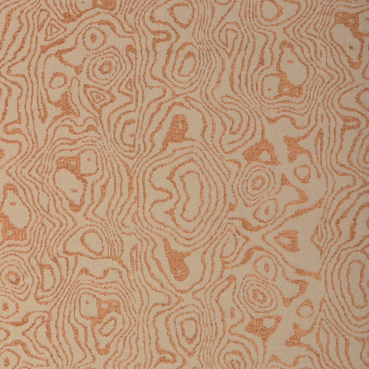 Atlas-Ginger